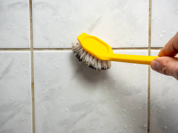 Certified Mold Removal in Spanish Fort, AL