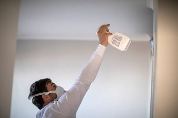 Best Fast Mold Removal  in Spanish Fort, AL