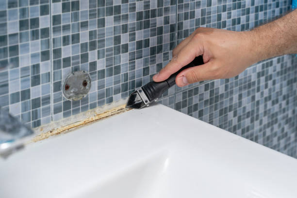 Best Attic Mold Removal  in Spanish Fort, AL