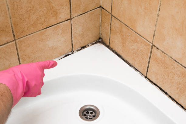 Best Mold Testing  in Spanish Fort, AL